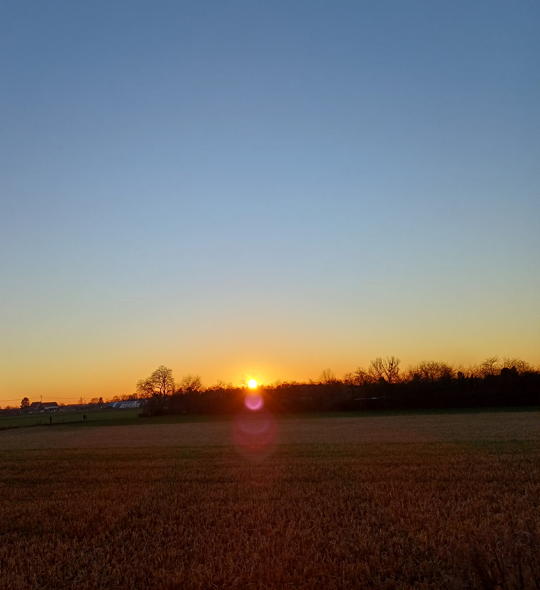 Jahresende 2025 Kinderyoga-Akademie Heidelberg Sonnenuntergang